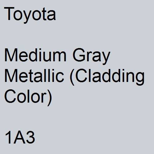 Toyota, Medium Gray Metallic (Cladding Color), 1A3.